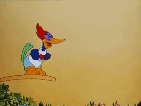 image.gif.2e9955f6f549094ffd3fccb86aac9869.gif