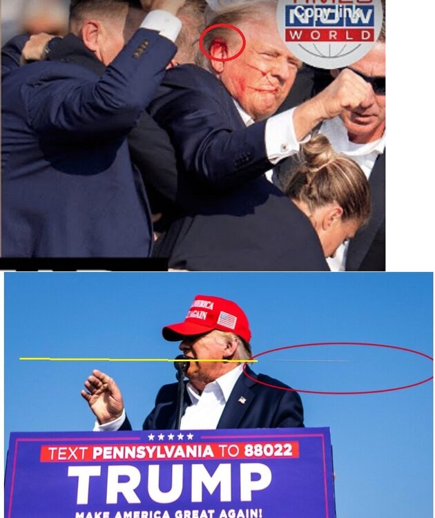 14.thumb.jpg.ad5b94f02b65830a08d687650f996ffb.jpg
