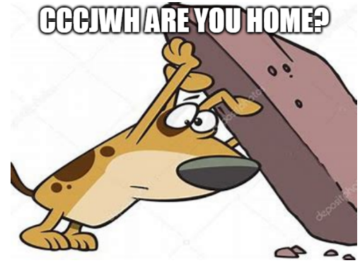 image.png.329bd5b38a6fa1286000d9c9a69db082.png