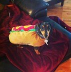 image.jpeg.34d4ed9608b26d31b802edda71e8d64d.jpeg