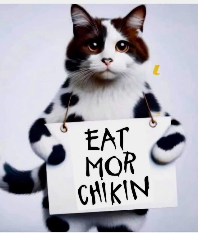 image.thumb.jpeg.af77e64fefd85e372e067b42eeb9e8c8.jpeg