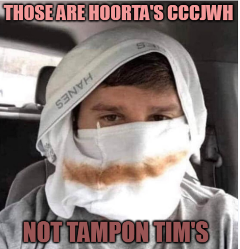 image.png.dd9d88b872c6bdcf2c6dff16dd9faf3a.png