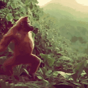 image.gif.6e64a038ddd466833df5ee1efa8e9de2.gif