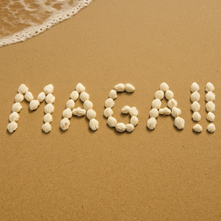 image.thumb.png.1528fd5130d5a00c4876f1f7a53230b5.png