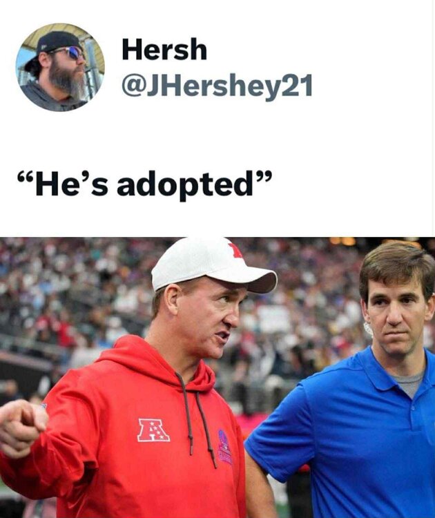 adopted.jpg