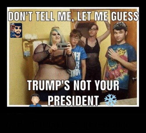 dont-tell-me-let-me-guess-trumps-not-your-president-26346417.jpeg.14c4da2b862dfa9741c760463d52b2cc.jpeg