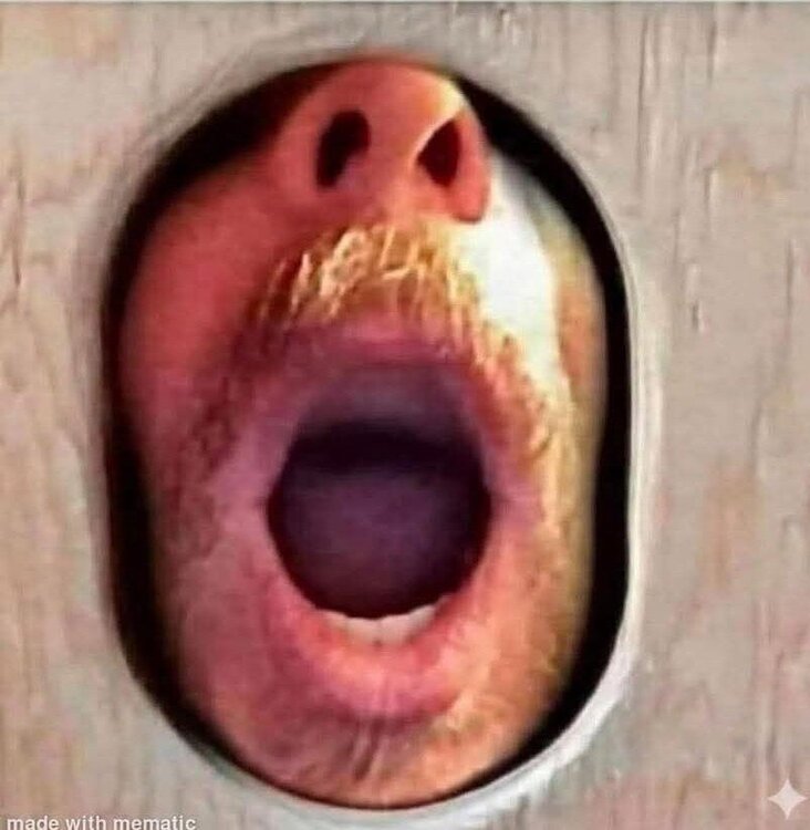 woody.jpg
