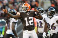 TypicalBrowns